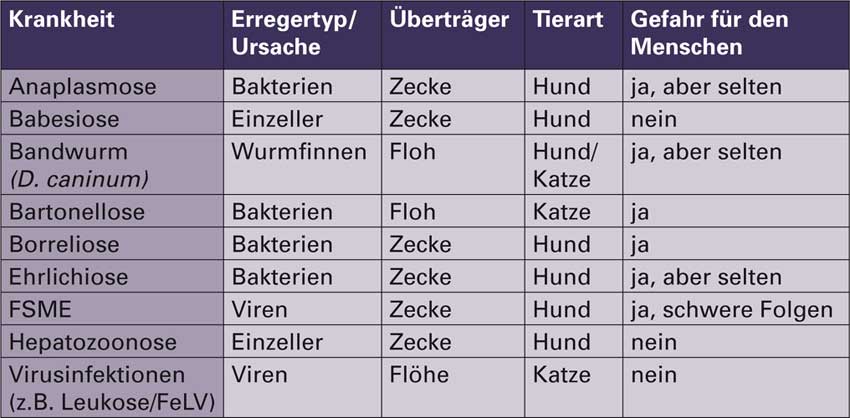 Tabelle Zecken-Flöhe-Krankheiten
