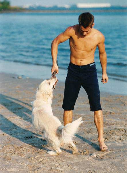 ivh - Mit dem Hund am Strand