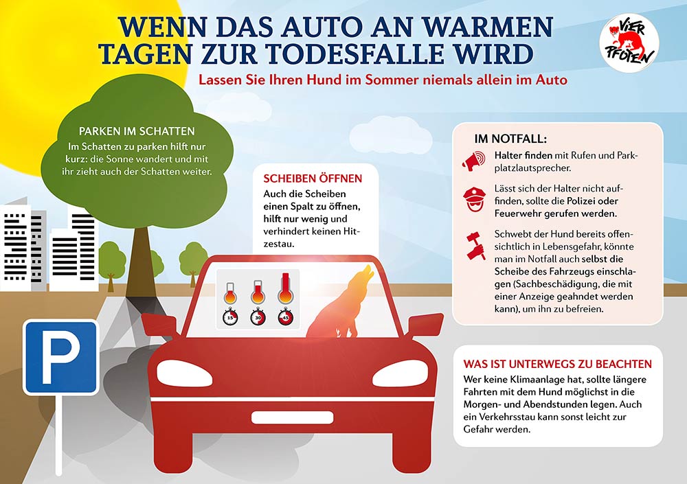 Wenn das Auto an warmen Tagen zur Todesfalle wird (Grafik: ©-VIER-PFOTEN)