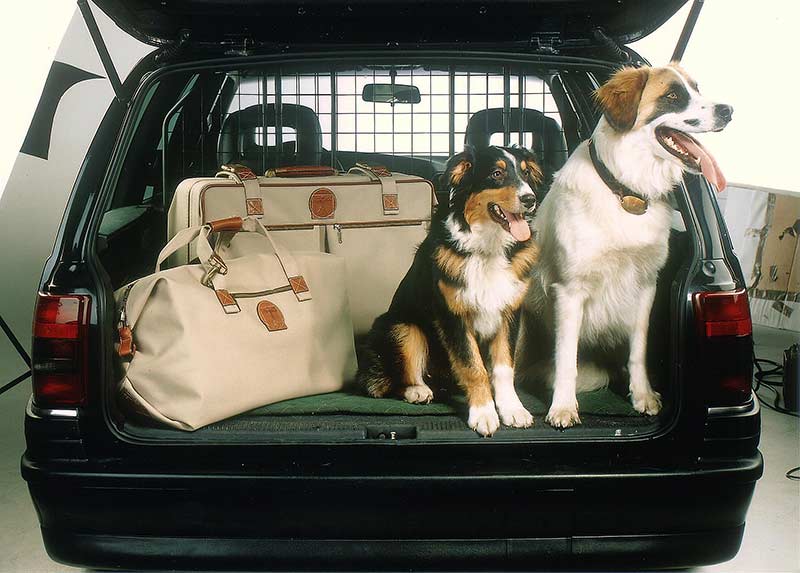 Hundehalter sollten die Reisezeiten an den Tagesablauf ihrer Tiere anpassen (Foto: IHV)