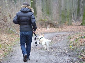 Gesund mit Hund: Wer eine starke Bindung zu seinem Tier hat und regelmäßig Zeit an der frischen Luft verbringt, verringert sein Risiko für Herz-Kreislauf-Erkrankungen deutlich.