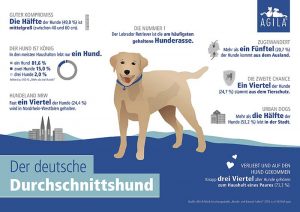 Das ist der deutsche Durchschnittshund: Der Labrador Retriever ist die meistgehaltene Hunderasse (Grafik: © AGILA)