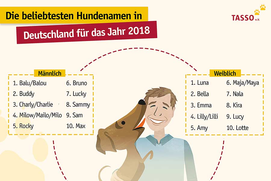 Die Top Ten der beliebtesten Hundenamen im Jahr 2018 (Grafik: © TASSO e.V.)