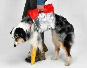 Rettungsdecke als Gehhilfe: Bei kleineren Verletzungen und zur Unterstützung eines in seiner Mobilität eingeschränkten Hundes kann die Rettungsdecke als Gehhilfe zum Einsatz kommen (Foto: Knauder's Best).