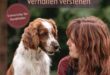 Hundesprache erkennen: Verhalten verstehen – Dolmetscher für Hundehalter