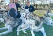 VOX: Bunte Hunde – Wo die Tierliebe hinfällt – Staffel 2