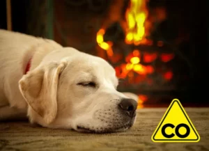 Brand- und CO-Risiko für Mensch und Haustier
