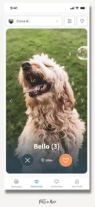 Feature in der Patzo App revolutioniert Hunde-Adoption