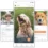 Feature in der Patzo App revolutioniert Hunde-Adoption