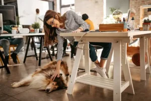 Hund im Büro - Kollege Hund motiviert und hält gesund