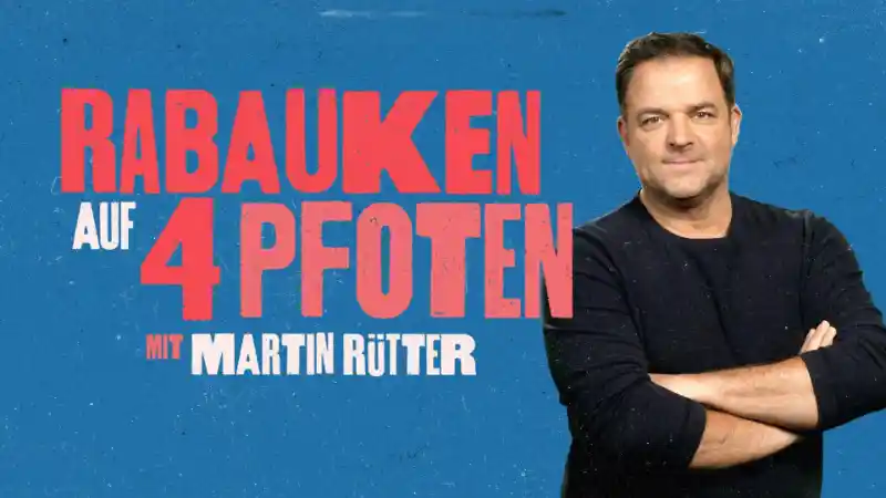 Martin Rütter - Die Pubertiere sind los!