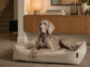Wenn Hundebett und Wohndesign eins werden DOGSOFA von BADESOFA®