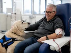Hundebesuche entlasten Dialyse-Patienten Therapiebegleithund in einemDialysezentrum
